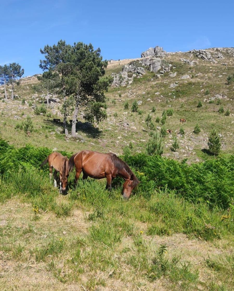 Cantinho Das Oliveiras Geres Zewnętrze zdjęcie